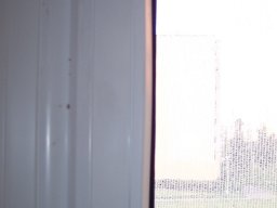 100_2783