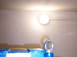 100_4067